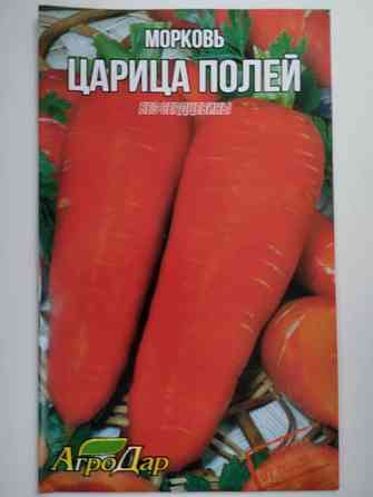 Морковь 