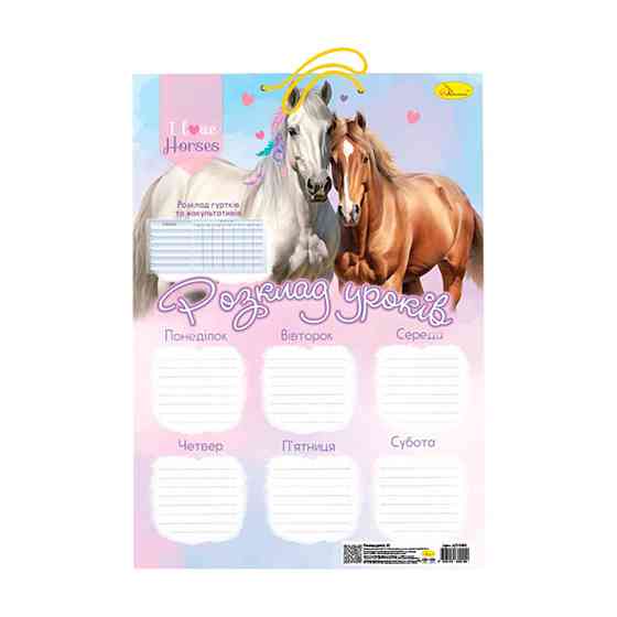 Ламінований розклад уроків АП-0802 формат А3 Вид 1 Вінниця