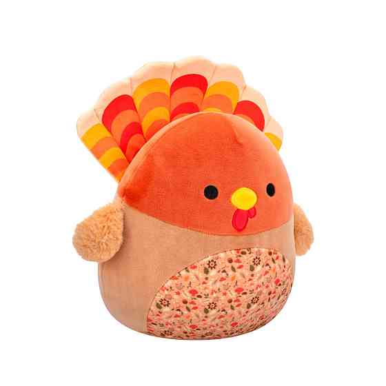 М'яка іграшка Індюк Гобріанна Squishmallows SQHV00029, 19 см Вінниця