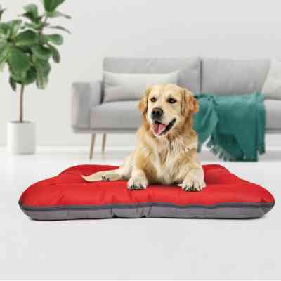 Матрац для тварин Pet Fashion Askold 80x60x13 см теракотовий (4823082438662) Вінниця