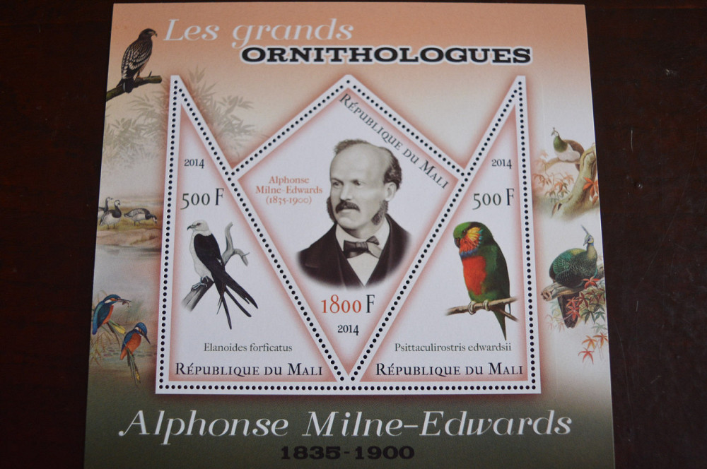 Марки. Фауна. Блок. 2013 год (А-30) Полтава - изображение 1