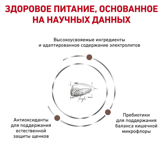 Royal Canin Gastrointestinal Puppy (Роял Канін Гастроінтестинал Паппі) корм для цуценят для системи травлення 1 кг. Запоріжжя