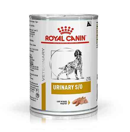 Royal Canin Urinary S/O (Роял Канін Уринарі СО) вологий корм для собак у разі захворювань сечовивідних шляхів Запоріжжя