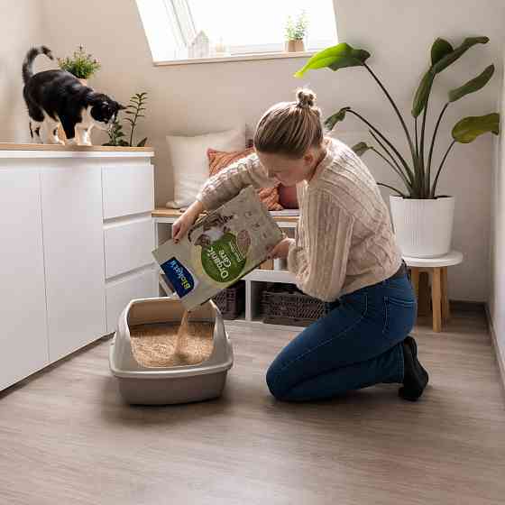 Наповнювач рослинний Biokats для котячого туалету Organic Care 30л/12кг Киев