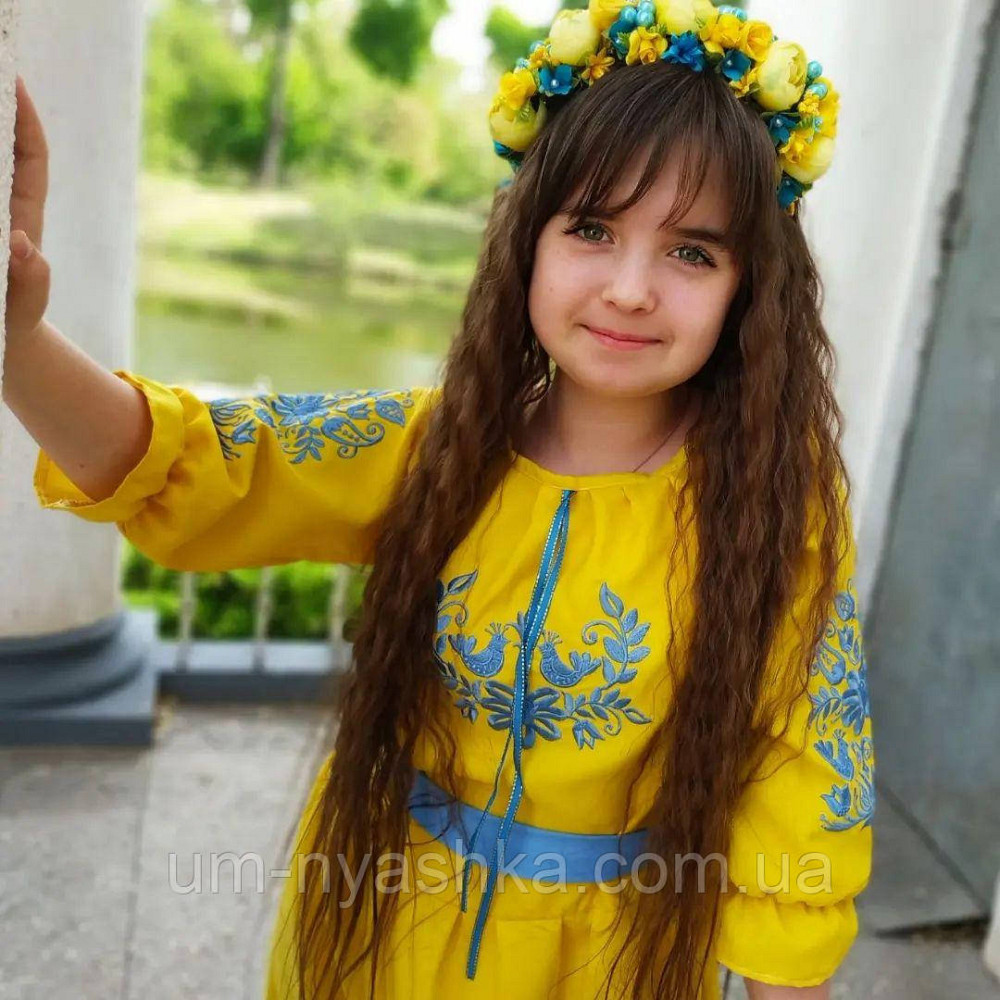 Сукня вишиванка жовто-синя Пташки патріоти Кривий Ріг - фото 4