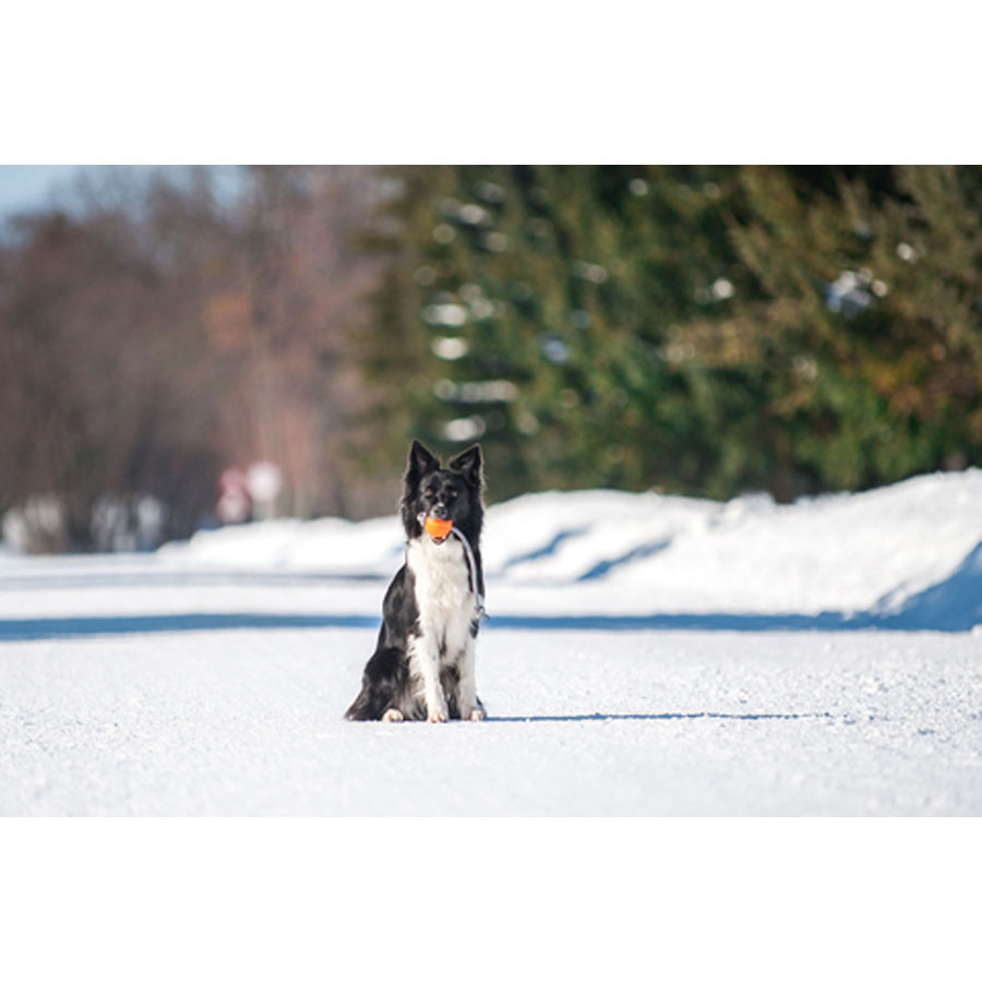 М'ячик ЛАЙКЕР Корд на шнурі (діаметр 7см) Коломия - фото 3