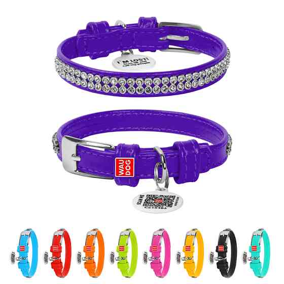 Нашийник для собак шкіряний WAUDOG Glamour з QR паспортом, з прикрасою "Полотно стрази", XXS, Ш Коломия