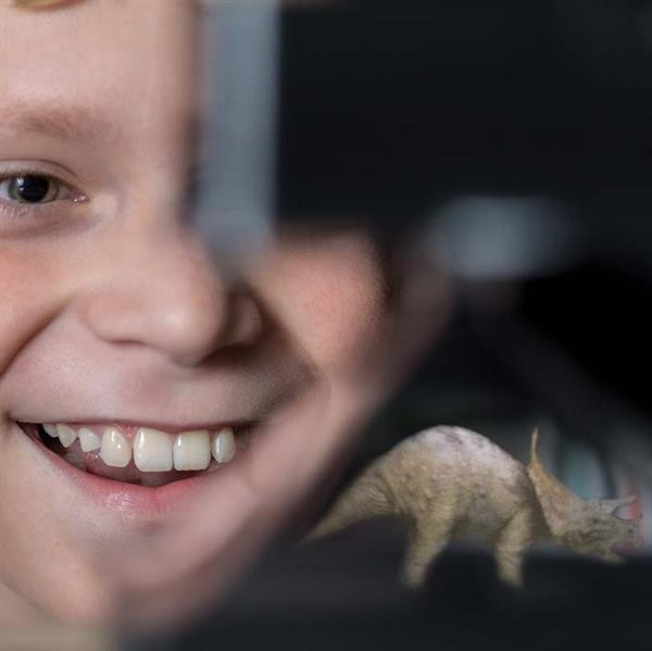 Голографічний проектор своїми руками 4M (00-03394) Харків - фото 9