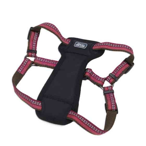 Coastal K9 Explorer Harness КОСТАЛ К9 ЭКСПЛОРЕР светоотражающая шлея с нагрудником для собак 20.4-45.3кг Киев