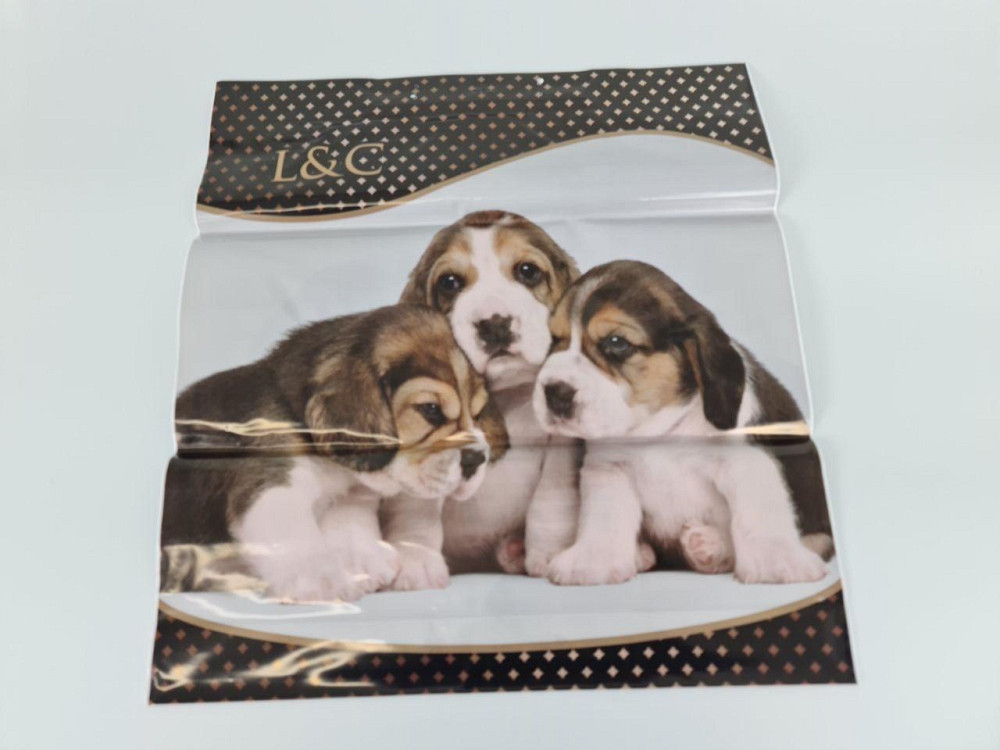 Пакет-сумка 40х45 з пластиковою ручкою  