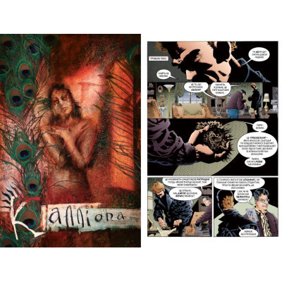 Комикс The Sandman. Пісочний чоловік. Том 3: Країна снів - Ніл Ґейман Видавництво РМ (9786178280918) Винница - изображение 3