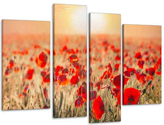 Модульна картина Маки в Полі Art-47_4 Київ