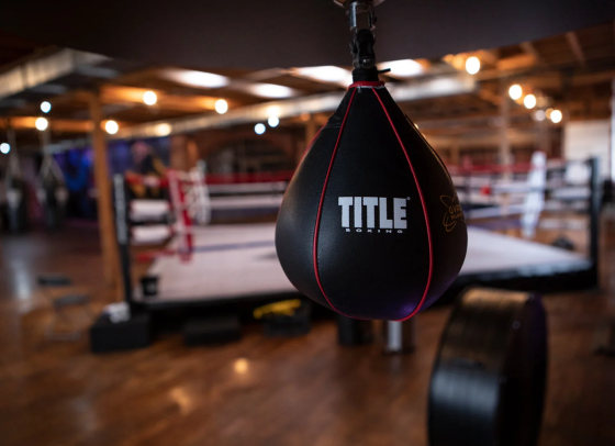 Пневмогруша боксерська TITLE Boxing Gyro Balanced Leather Speed Bag Black розмір L Каменское