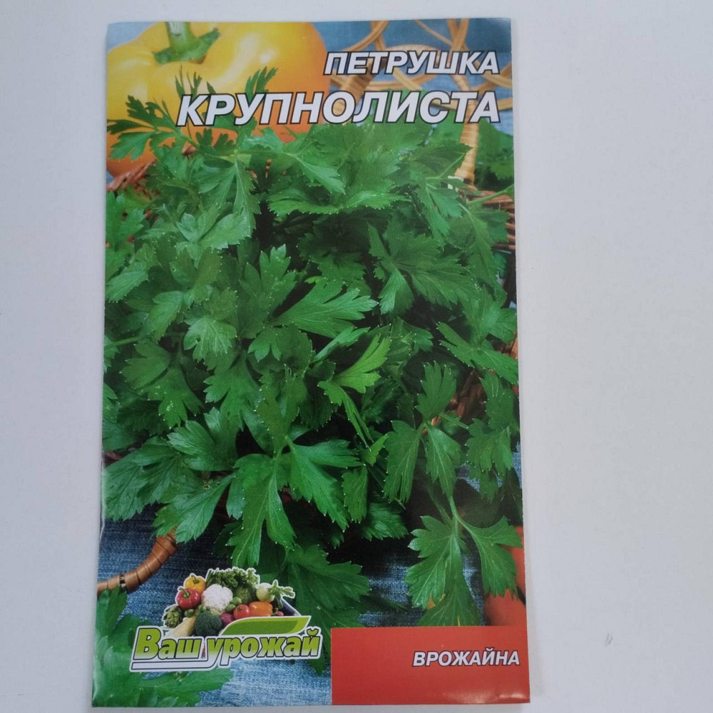 Петрушка "Крупнолиста" 10гр Харків - фото 1