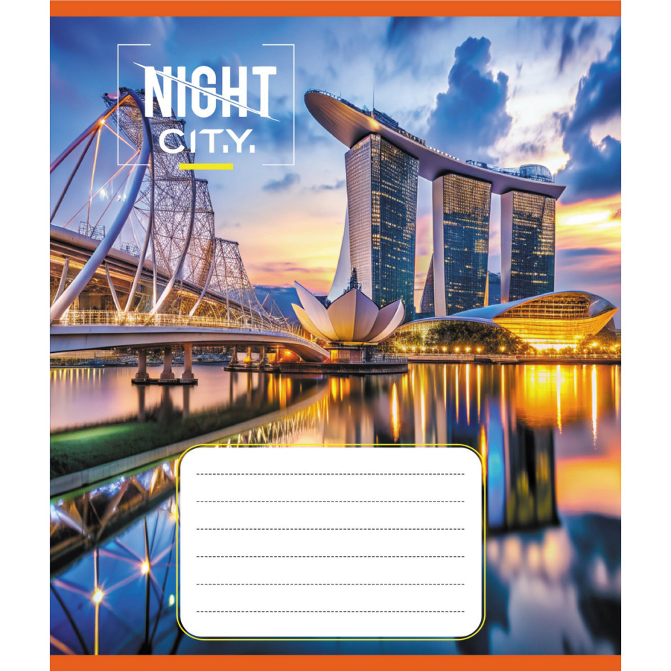 Тетрадь ученическая 