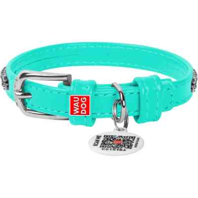 Нашийник для тварин WAUDOG Glamour з QR-паспортом "Стрази" XS Ш 9 мм Д 19-25 см ментоловий (330713) Вінниця