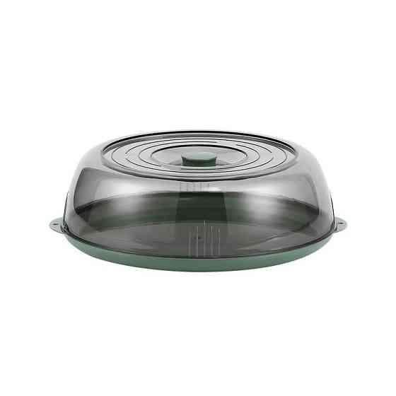 Піднос із кришкою, пластиковий, розміром 28 х 9 см, зелений Кам'янець-Подільський