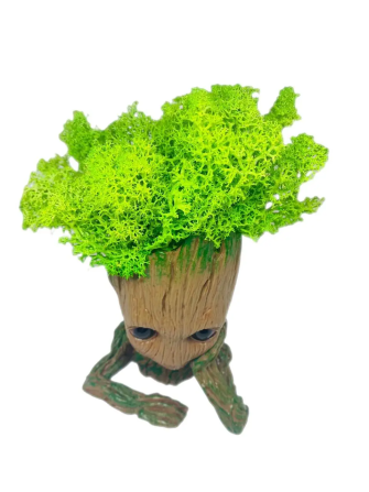 Кашпо горщик зі стабілізованим мохом Грут Groot G1 Вінниця - фото 7