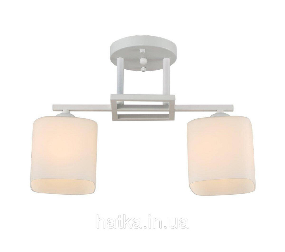 Светильник G 07473/2 Матовый Белый Киев - изображение 1