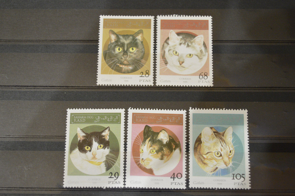 Сахара. Фауна. Серия Полтава - изображение 1