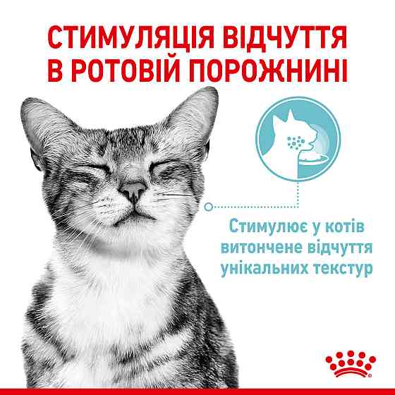 Вологий корм для дорослих котів ROYAL CANIN SENSORY FEEL JELLY шматочки у желе 85г, стимулює відчуття корму Київ