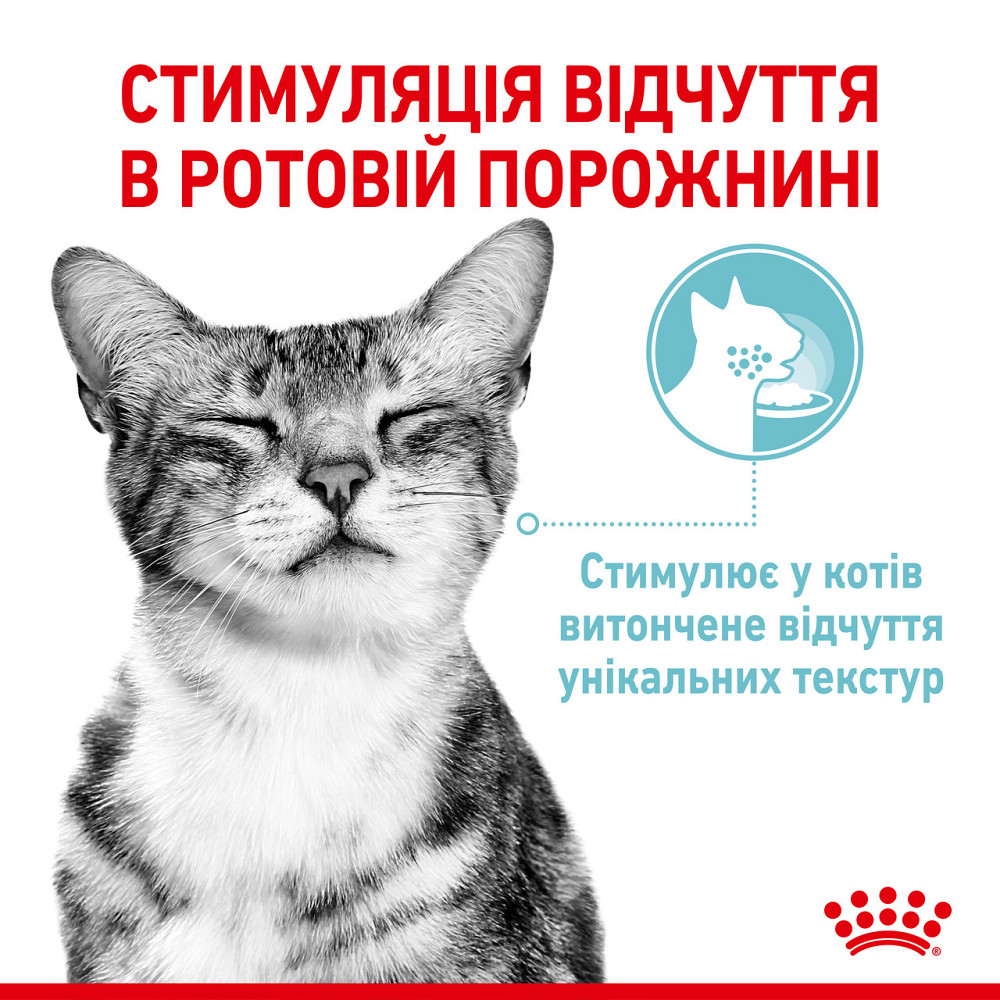 Вологий корм для дорослих котів ROYAL CANIN SENSORY FEEL JELLY шматочки у желе 85г, стимулює відчуття корму Київ - фото 3