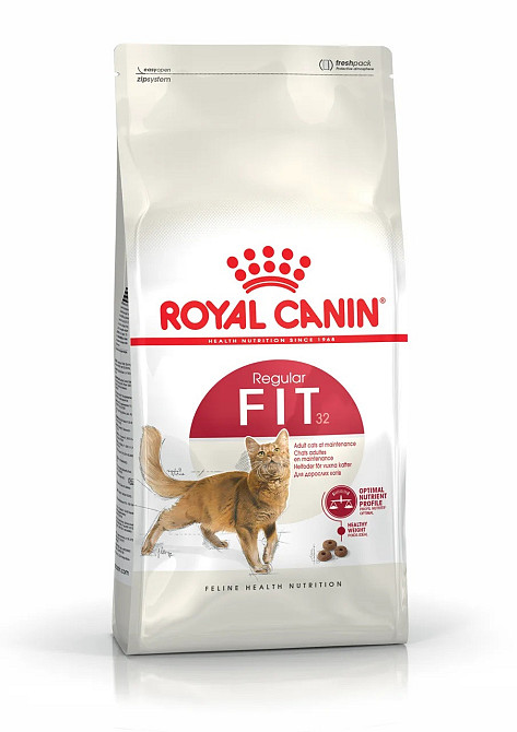 Royal Canin FIT 32 (Рояв Канін Фіт 32) сухий корм для дорослих котів від 12 місяців до 7 років 10 кілограмів. Запоріжжя - фото 1