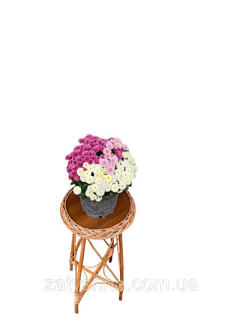 Столик высокий журнальный круглый из лозы Киев - изображение 6