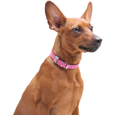 Нашийник для тварин WAUDOG Classic шкіряний 12 мм х 21-29 см рожевий (02027) Вінниця - фото 6