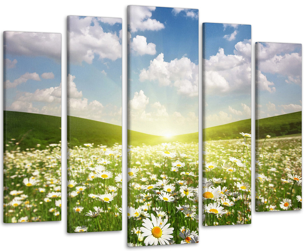 Модульна картина Ромашки Поле Art-160_5 Київ - фото 1