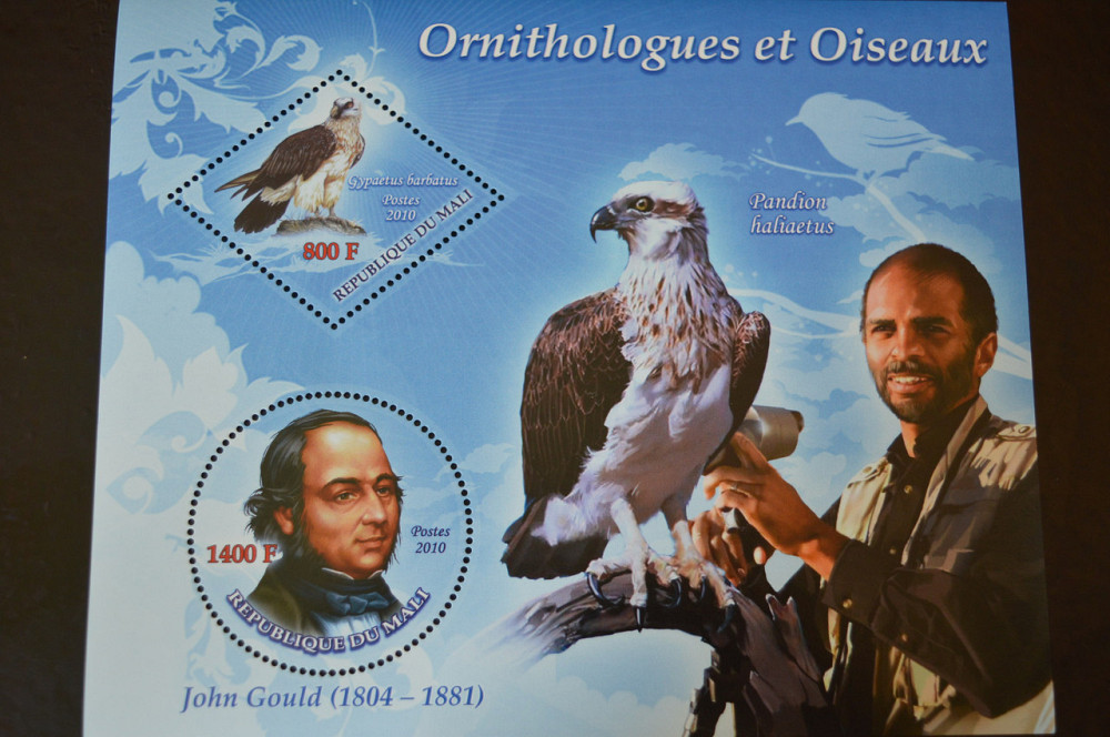 Марки. Фауна. Блок. 2010 рік (А-31) Полтава - фото 1