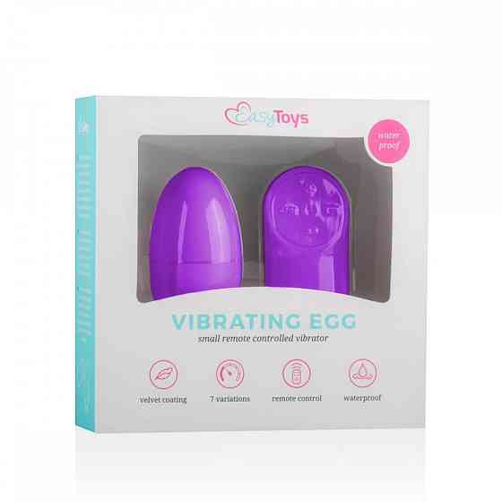 Виброяйцо с пультом Easytoys Remote Control Vibrating Egg, фиолетовое Sex Aura Киев