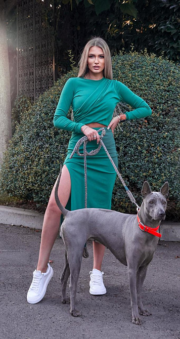 Костюм із джерсі (42) Київ - фото 1