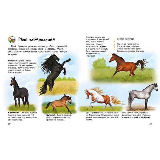 Енциклопедія дошкільника Коні 614037 для найменших Вінниця