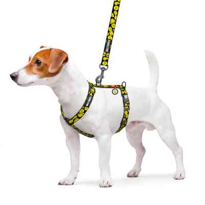 Шлей для собак WAUDOG Nylon анатомическая H-образная с QR-паспортом "Смайлики на черном" пластиковый фастекс, S (343-0181) Винница