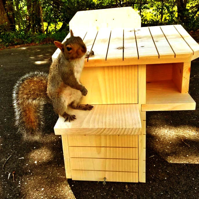 Будиночок для білок "Чилім" каррі Миколаїв - фото 1