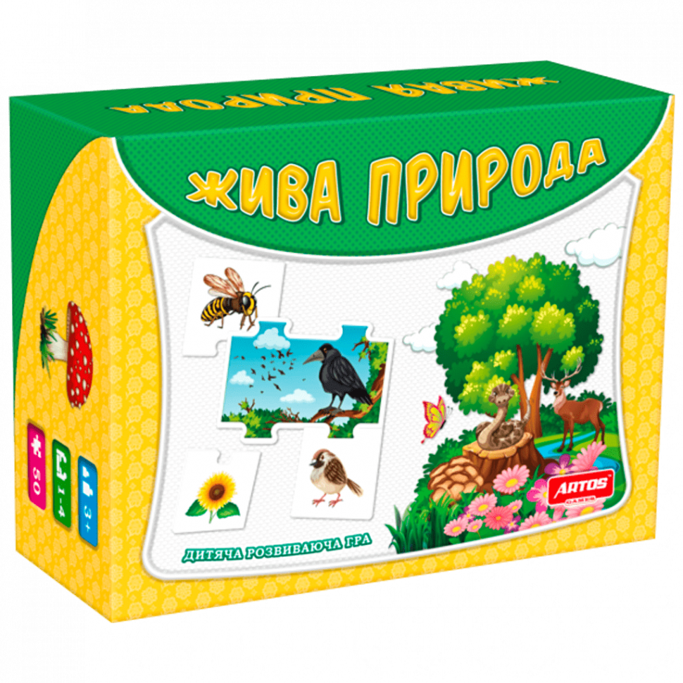Развивающая игра премиум 