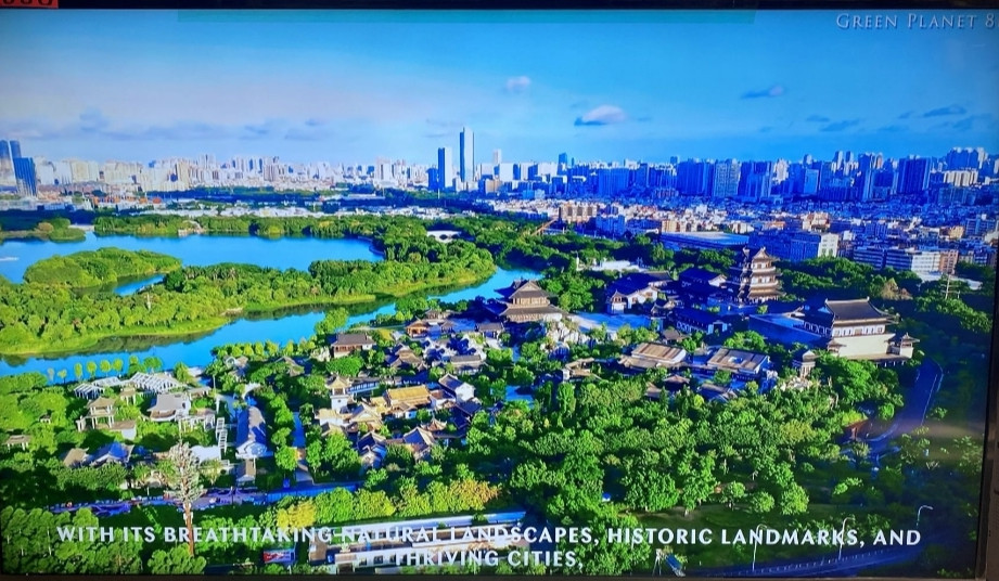 Телевизор: 65