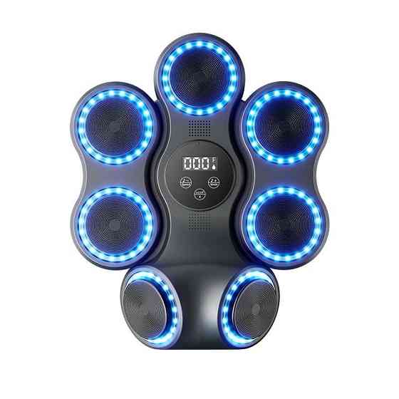 Настінний боксерський тренажер PowerPlay PP_4419 (музична боксерська машина-тренажер) Каменское