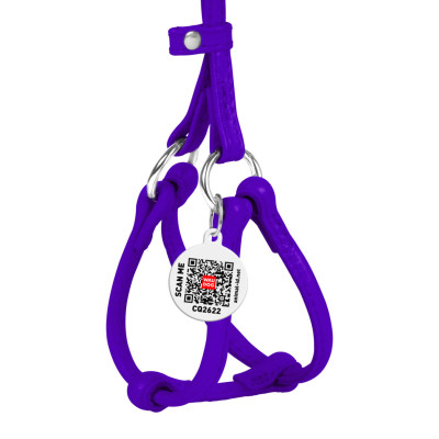 Шлея для собак WAUDOG Glamour з повідцем кругла Д 6 мм А 26-46 см В 30-50 см фіолетова (34019) Вінниця - фото 2