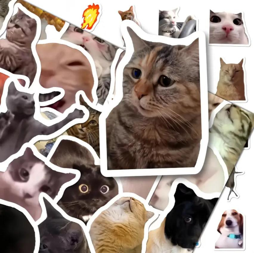 Набір наліпок з мемами про смішних котів (100 шт.) з коробкою для зберігання, стикербомбінг коти Київ - фото 1
