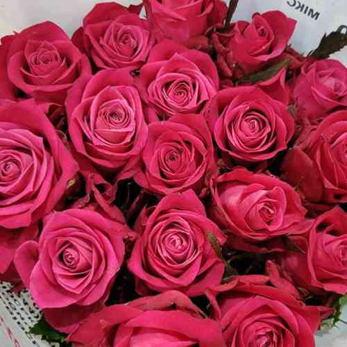 Саджанці троянд Далі (привитий) - 2-річний Чернівці