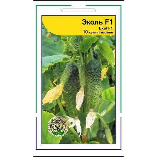 Насіння огірка Еколь F1 10 сем., Syngenta, Голандія Вінниця