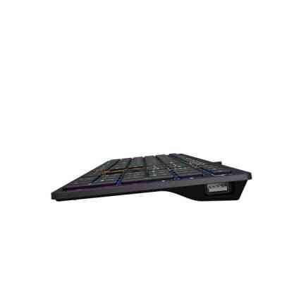 Клавіатура A4Tech FX60H USB Grey Neon backlit Вінниця