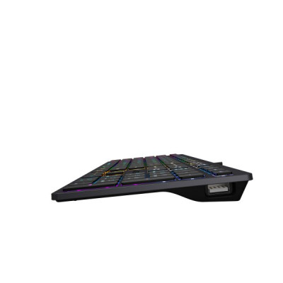 Клавиатура A4Tech FX60H USB Grey Neon backlit Винница - изображение 5