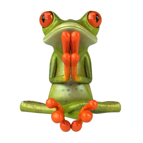 Виниловая наклейка Лягушка 16 на 16 см разноцветный Киев - изображение 1