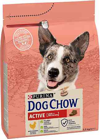 Сухий корм Dog Chow Active Adult для дорослих активних і робочих собак з куркою, 2.5 кг Вінниця