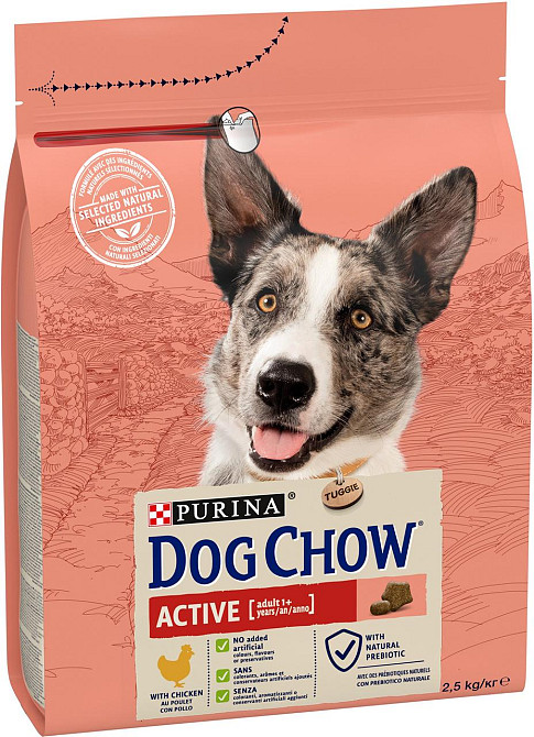 Сухой корм Dog Chow Active Adult для взрослых активных и рабочих собак с курицей, 2.5 кг Винница - изображение 1