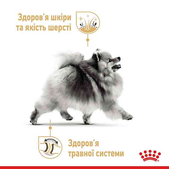 Вологий корм для собак породи Померанський шпіц ROYAL CANIN POMERANIAN ADULT паштет 85 г Київ