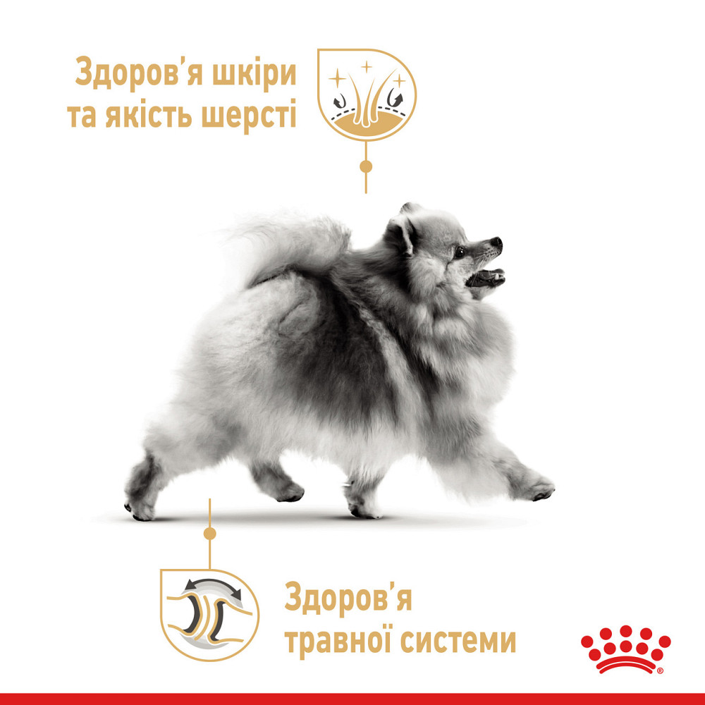 Вологий корм для собак породи Померанський шпіц ROYAL CANIN POMERANIAN ADULT паштет 85 г Київ - фото 3